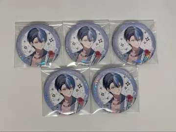 프로세카 감사제 2024 오로라 캔뱃지 토우야 5개