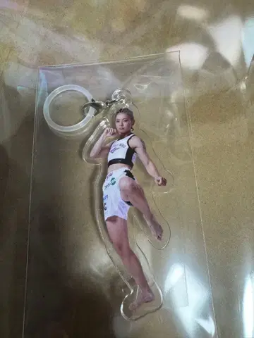 케이트 로터스 메지루시 참