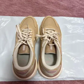 PUMA 스니커즈 SnowMan 사쿠마 다이스케, 아베 료헤이 착용 컬러