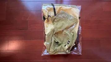 [ 미사용 ] Pa'Lante Joey Daisy / Lichen