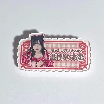 신기루 아뮤 이름 배지 야온