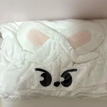 스키즈 리 비트 담요