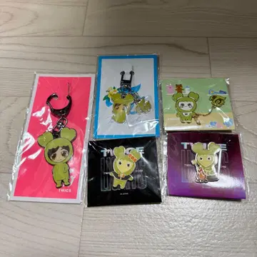 TWICE 정연 정블리(정현) 키링 핀 배지