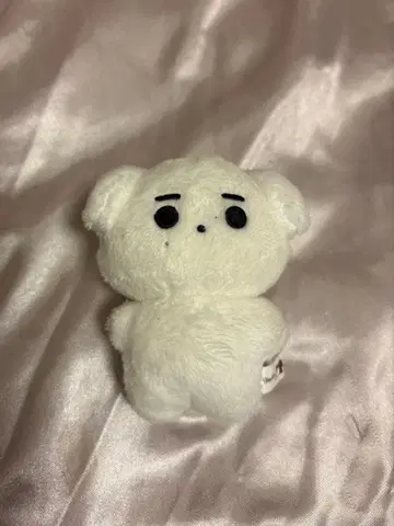 성훈 봉제 인형