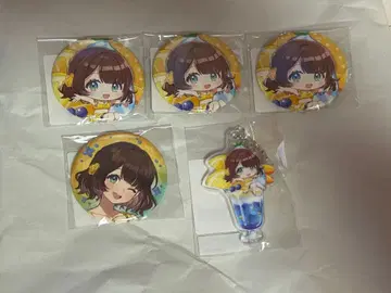 시가리코 5세트