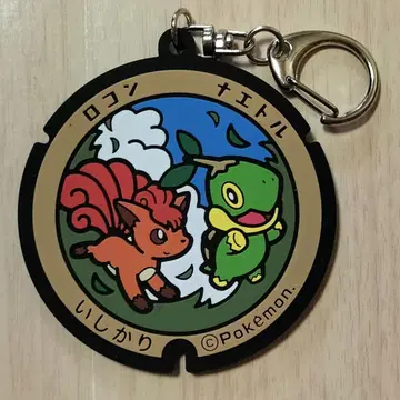 로콘 알로라 로콘 홋카이도 포켓 후타 러버 키링 이시카리