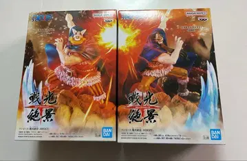 원피스 전광절경 도리 & 브로기