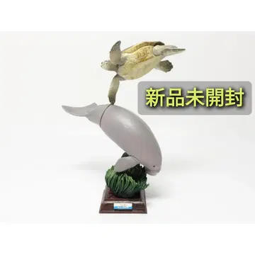 도바 수족관 입체 컬렉션 3 듀공(세레나) & 푸른바다거북(카메키치)