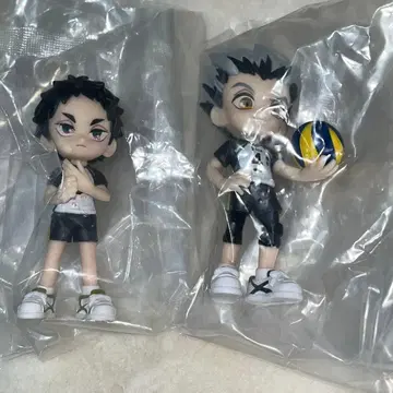 PalVerse 파루버스 하이큐!! 아카아시 보쿠토