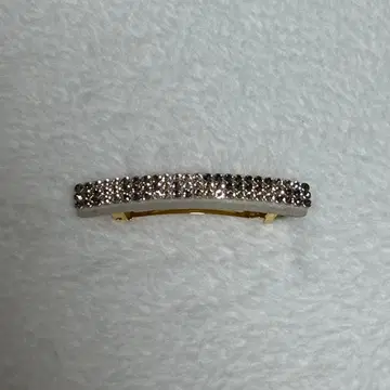 ACCA 브리지트 바레타