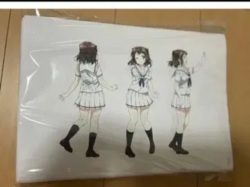 BanG Dream! 뱅드림! 설정 자료 245장