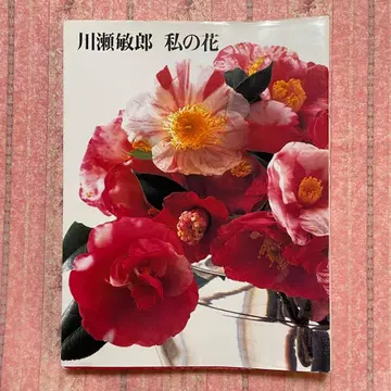 카와세 토시로 나의 꽃