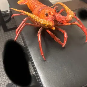 리얼 이세에비 피규어 약 30cm