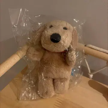 콘도 레이싱 디노짱 콘도 마사히코 씨의 반려견