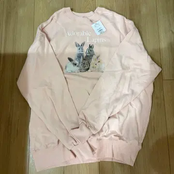 nice claup 토끼 프린트 맨투맨