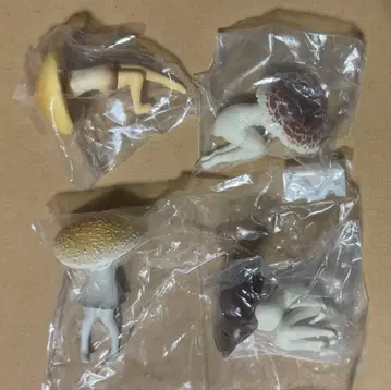 포이즌 버섯 소녀 가챠 피규어 축광 있음 버섯 의인화 2