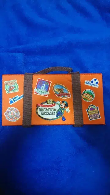 디즈니 베케이션 패키지