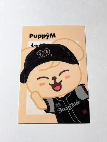 straykids PuppyM
