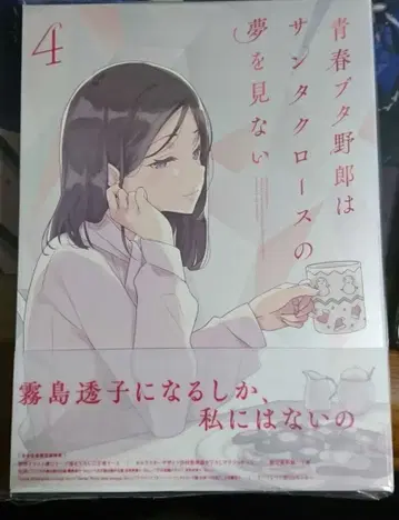 청춘 돼지는 산타클로스의 꿈을 꾸지 않아 DVD 제4권