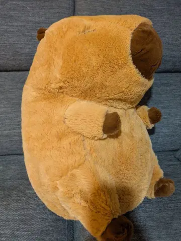 선착순! 인기 카피바라 씨 초특대! 봉제 인형