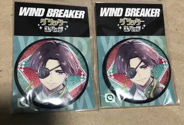 WIND BREAKER 윈브레 소방 준히 글리터 캔뱃지