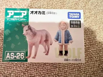 아니아 단종 늑대(소년 포함) 파랑