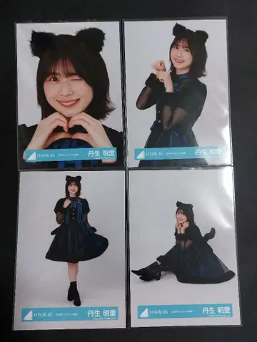 히나타자카46 니부 아카리 2024년 할로윈 의상 컴프