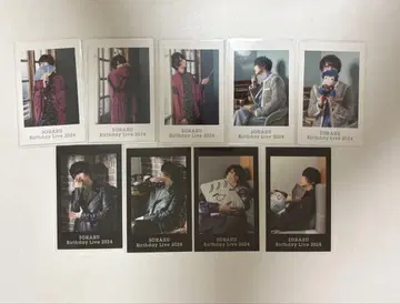 소라루 폴라로이드풍 카드