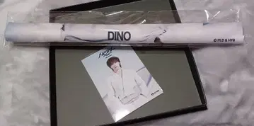 SEVENTEEN 분카사이 in 오사카