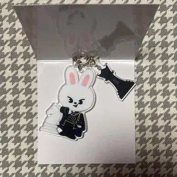 스트레이키즈 스키즈 시즌 그리팅 2026 아크릴 키링 리빗