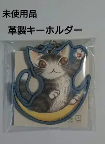 와치필드 다얀 백참 키링 반짝이는 별