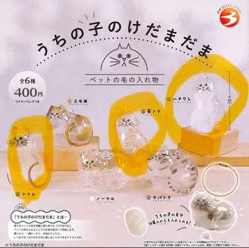 우리 집 아이의 털뭉치 [ 고양이 ]