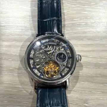 ALLY DENOVO 손목시계 Aurora Automatic