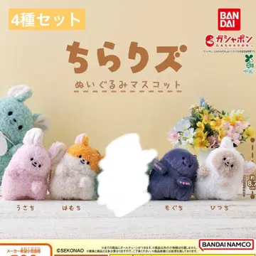 치라리즈 4세트