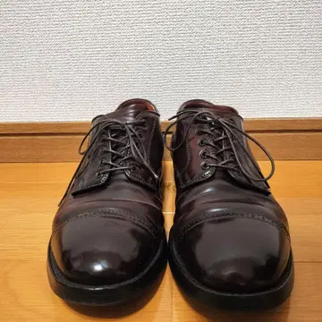 디스트릭트 별주 알든 펀치드 캡토 코도반 버건디