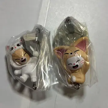 Straykids 스키즈 가챠 지니렛 폭시니