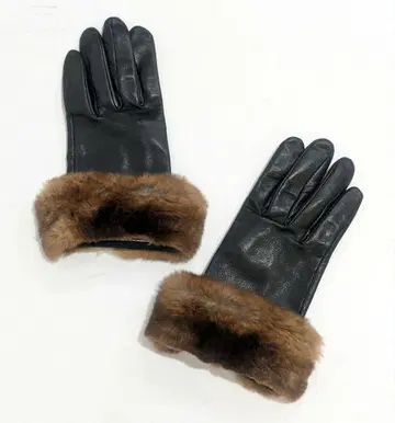 AGNELLE 아녜르 퍼 트리밍 가죽 장갑