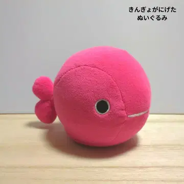 도망친 금붕어 봉제 인형 세키구치 고미 타로