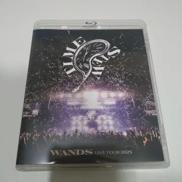 WANDS LIVE TOUR 2025 TIME STEW