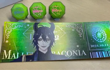 트위스테 브레쥬 티켓풍 카드 링 라이트 말레우스