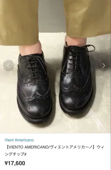 비엔토 아메리카노 윙팁 39 24.5~25cm