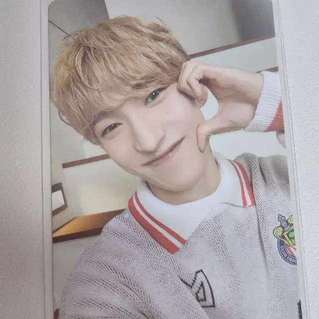 세븐틴 캐럿랜드 24 도겸 포토카드 포카