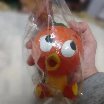 플로리다 오렌지 버드 저금통 미개봉 빈티지