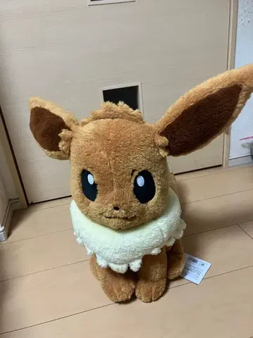 포켓몬 센터 한정판 클래식 보아 봉제 인형 이브이