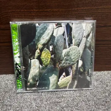 climb the mind / 연결되는 순간에 셔터를