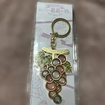 서던 올스타즈 맛있는 포도의 여행 2015 투어 키링