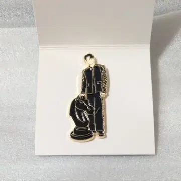 공식 Stray Kids FORCE 핑 배지 한