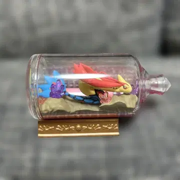 포켓몬 밀로틱 아쿠아 보틀 컬렉션