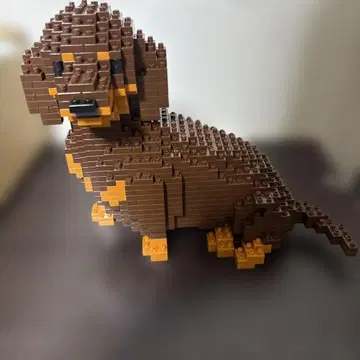 제카 블록 닥스