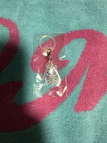 ME:I ENCORE 공연 아리아케 이시이 란 캡슐 토이 메지루시 참